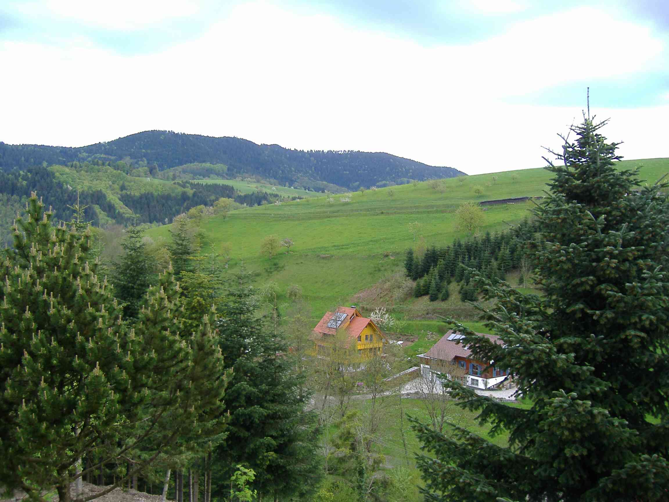 Ausblick Ferienhof Breig.jpg
